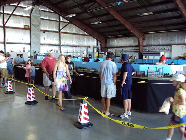 Steady crowds all day kept things moving